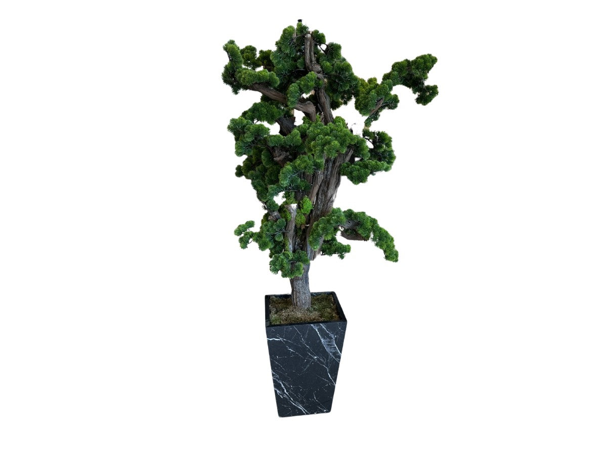 Artificial Bonsai Tree in Black Marble Standard Size Pot